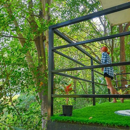 Shell House - Private Stay With Garden View In Arambol Mandrem Exterior foto
