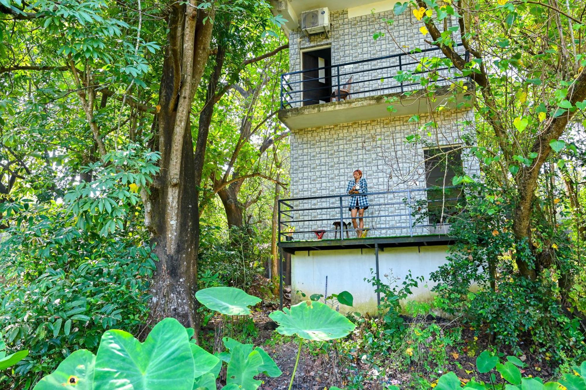 Shell House - Private Stay With Garden View In Arambol Mandrem Exterior foto