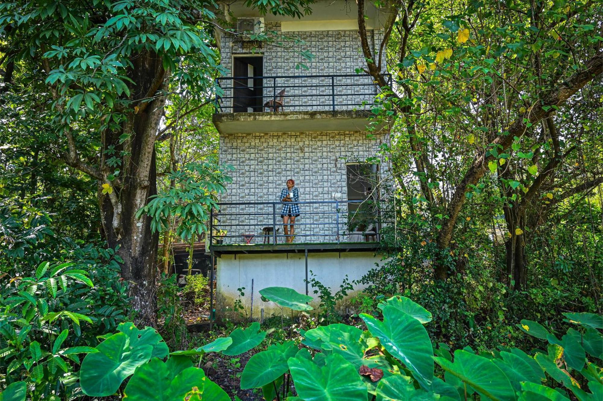 Shell House - Private Stay With Garden View In Arambol Mandrem Exterior foto